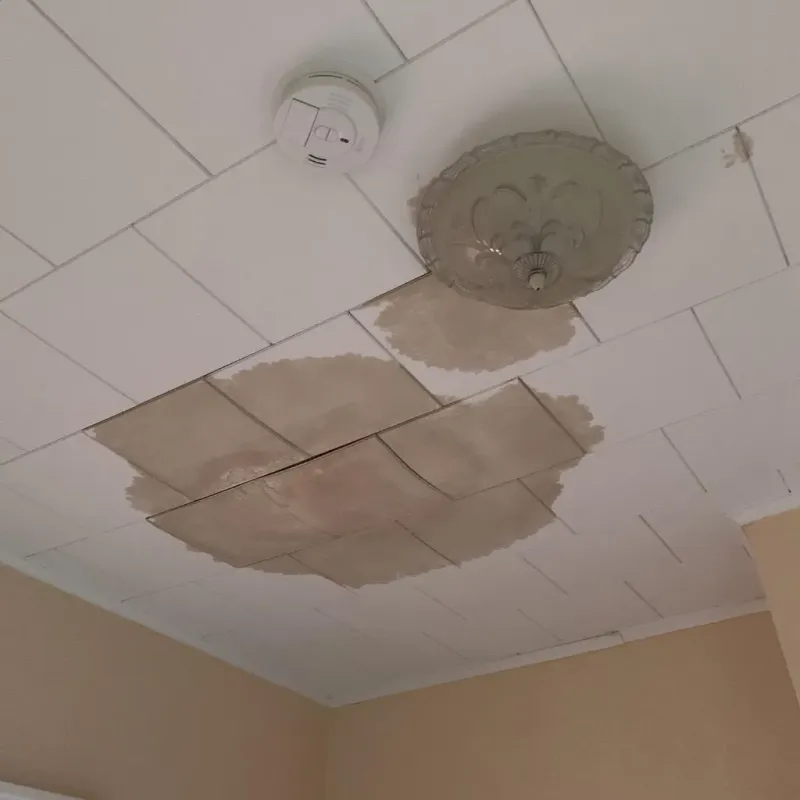 Ceiling Water Damage Repair in Osborne County, KS