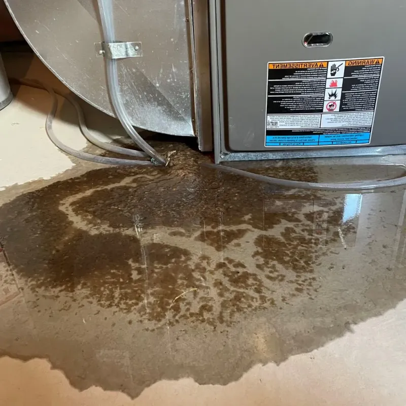 Pipe Burst and Leak Restoration in Osborne County, KS