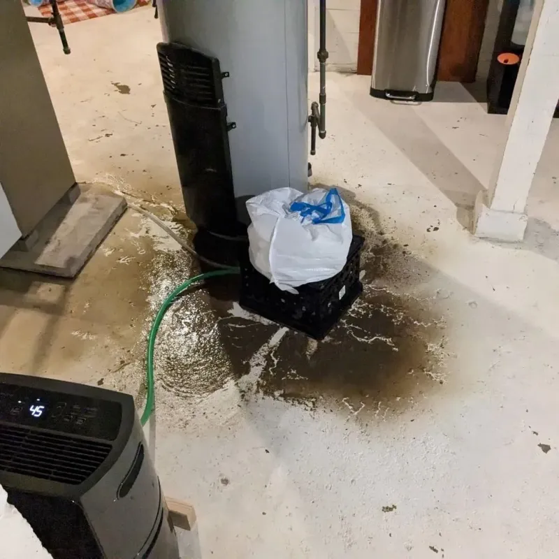Sewage Backup Cleanup Service in Osborne County, KS